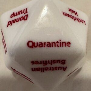 TTRPG Dice Bundle: Collapsible Tray, 2 Dice Bags, &  Novelty D"2020" | Near New